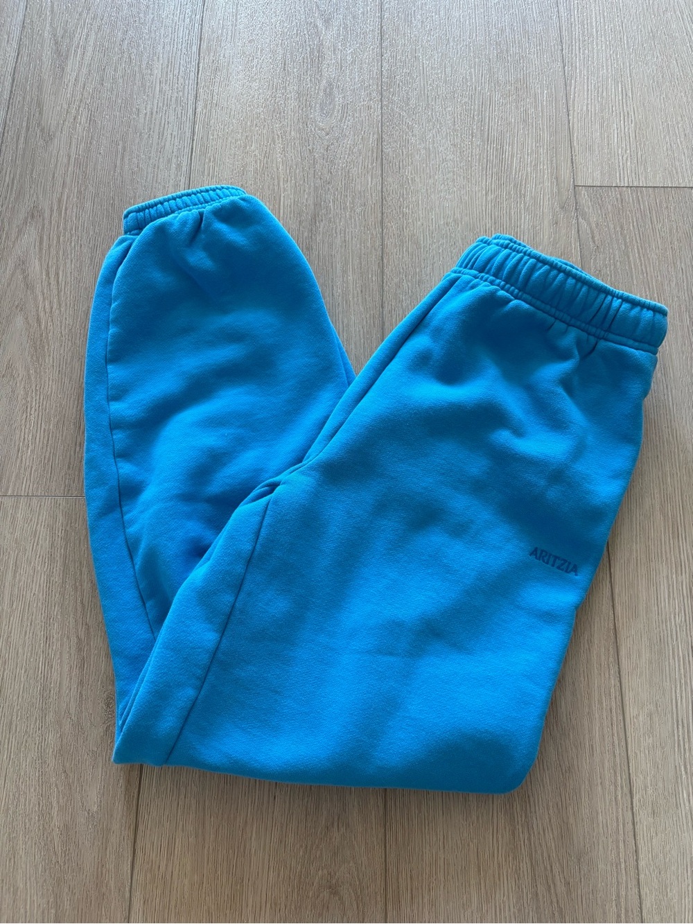Aritzia Sweatfleece Mega Fit Joggers